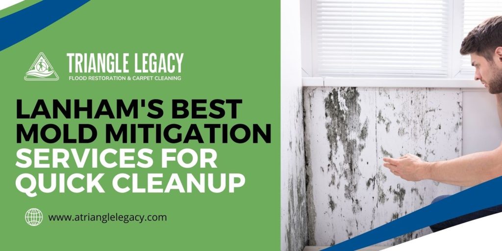 mold mitigation services