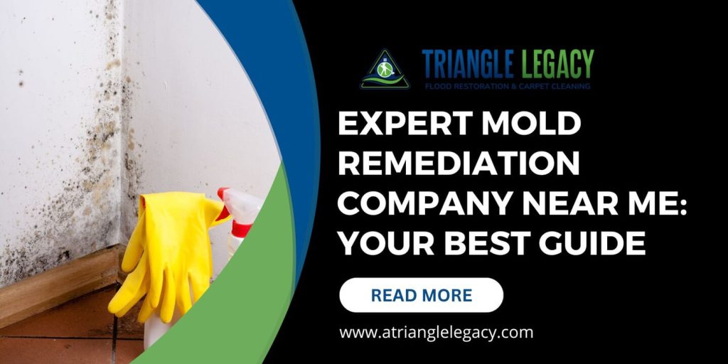 mold remediation company near me
