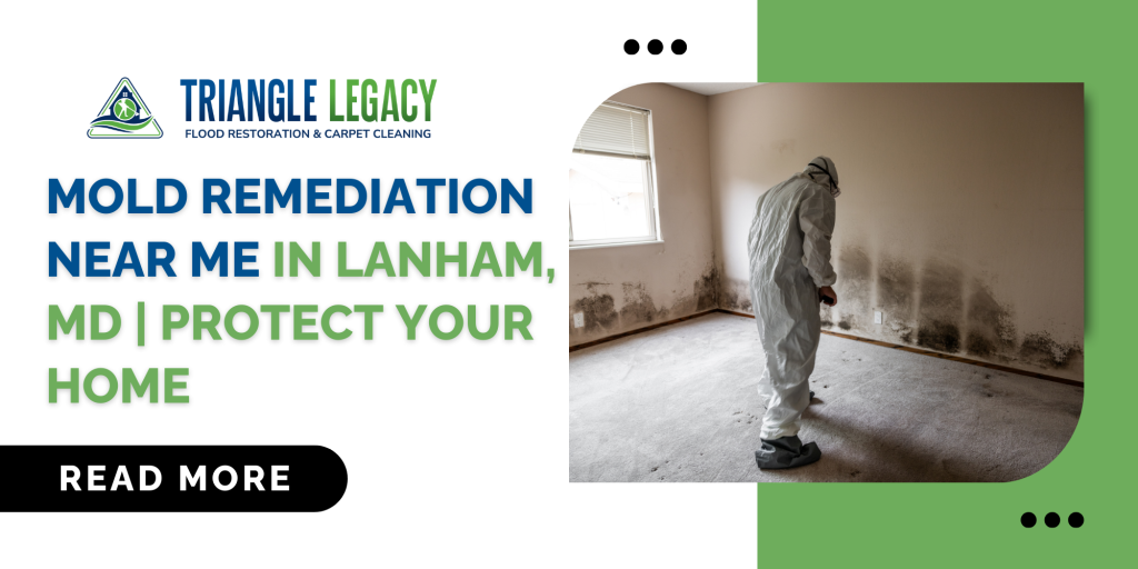 mold remediation near me in Lanham MD