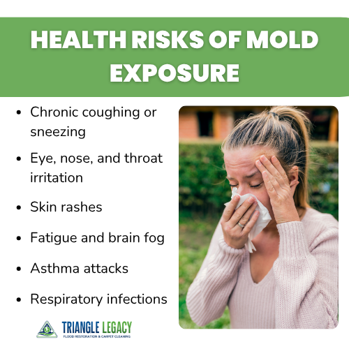 health risks of mold exposure