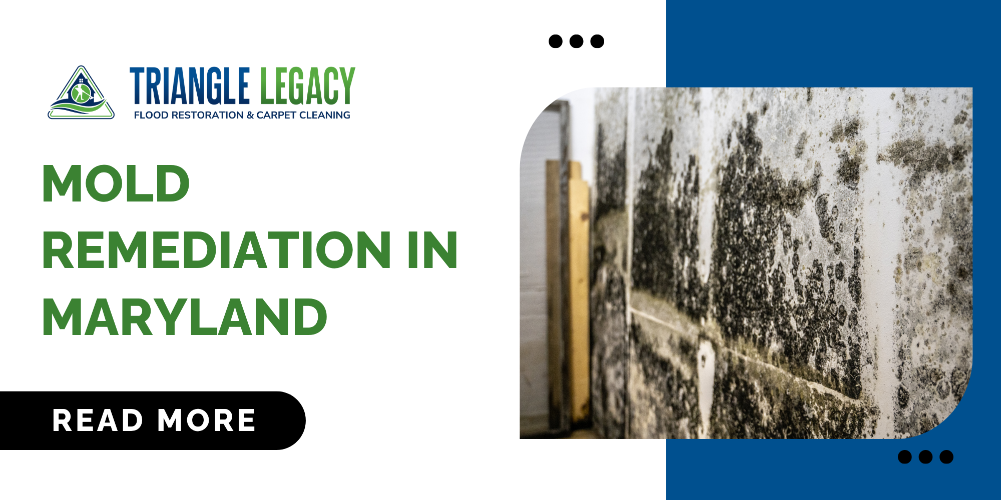 mold remediation in Maryland