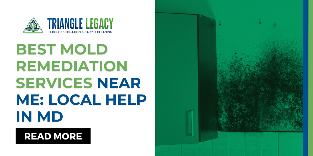 mold remediation services near me