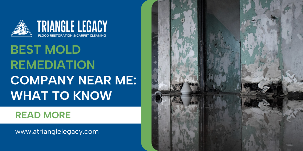 mold damage in a home with peeling paint and water stains, promoting mold remediation company near me
