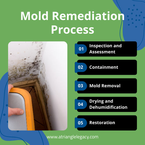 mold remediation process steps including inspection, containment, mold removal, drying, and restoration in a home.