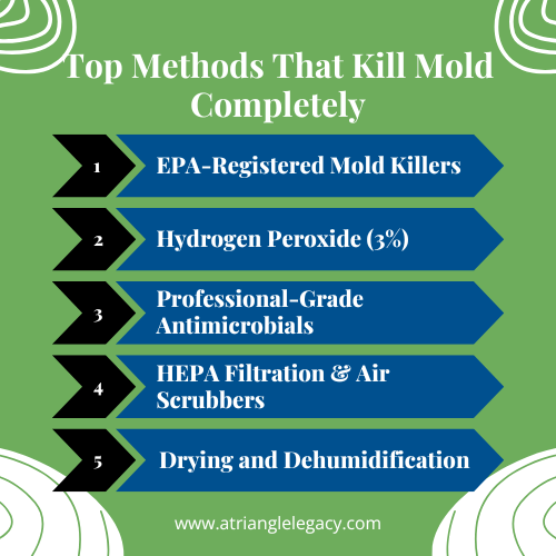 top methods that kill mold completely infographic for mold remediation basement solutions