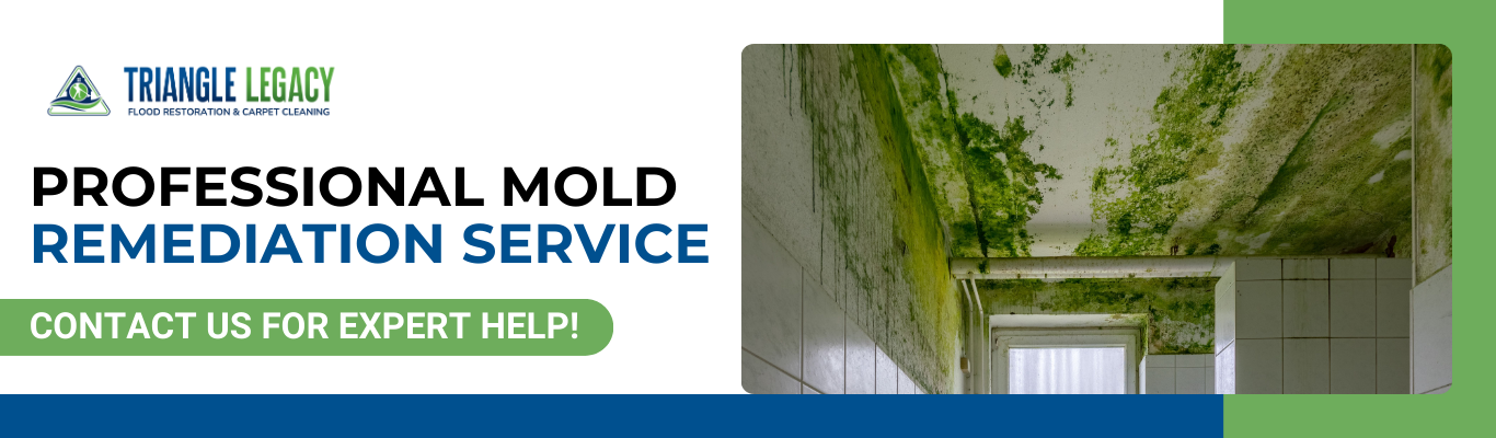 mold remediation service banner with a room showing mold damage and a call-to-action for expert help.