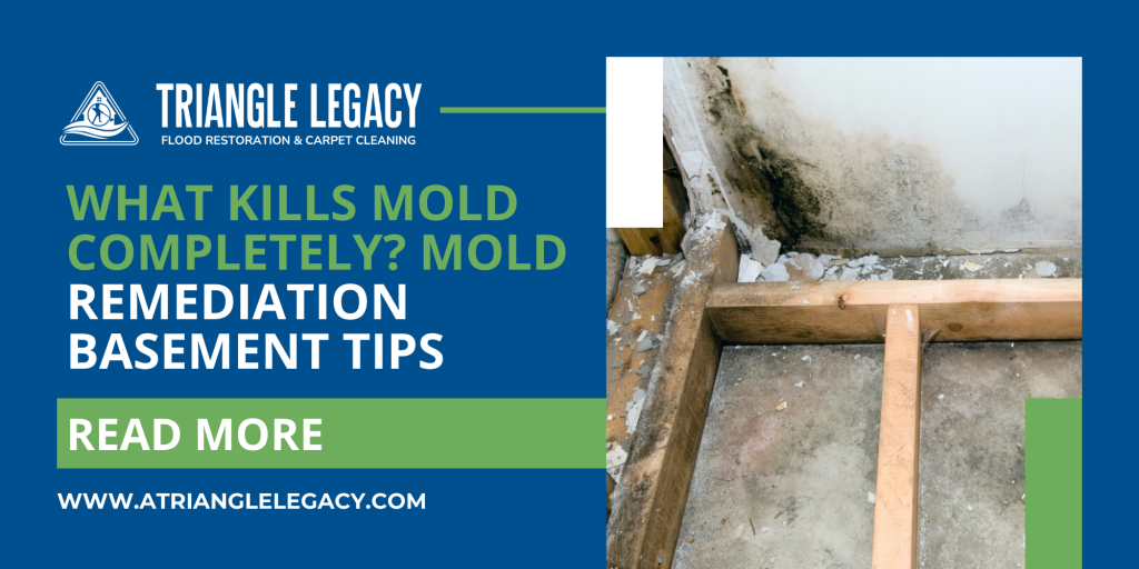 what kills mold completely mold remediation basement tips with visible basement mold damage