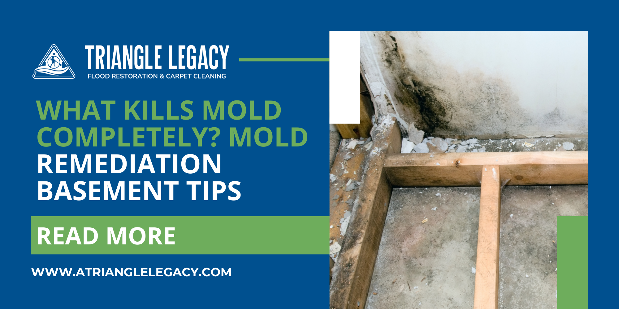 what kills mold completely mold remediation basement tips with visible basement mold damage