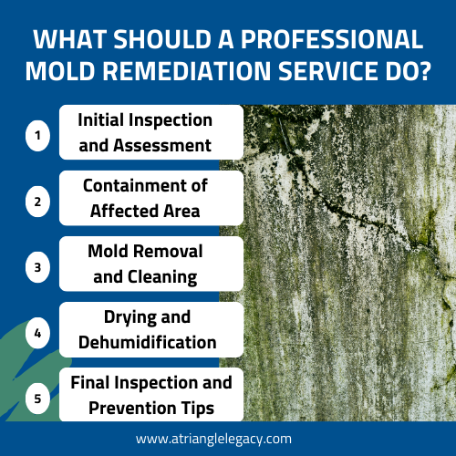 professional mold remediation service steps including inspection, containment, removal, and dehumidification process.