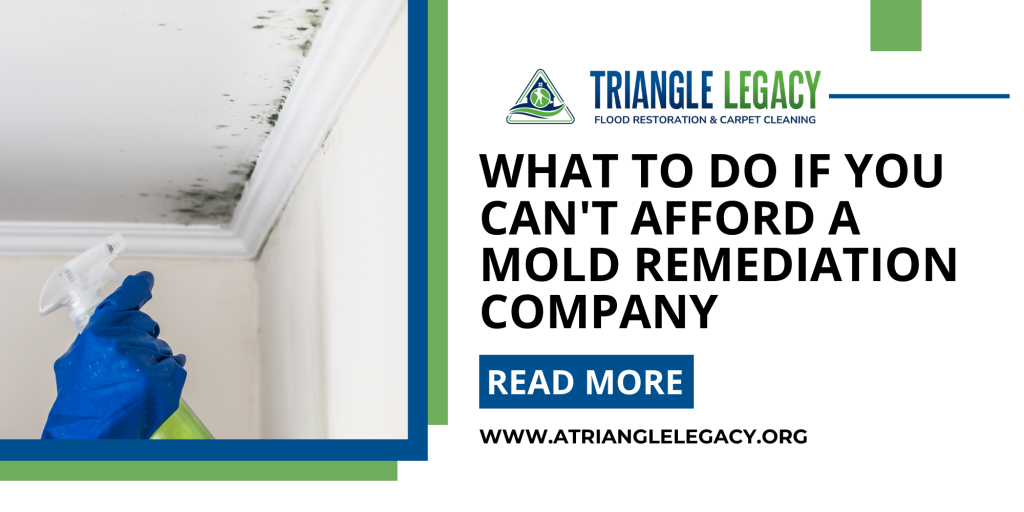 what to do if you can't afford a mold remediation company with image of ceiling mold being sprayed