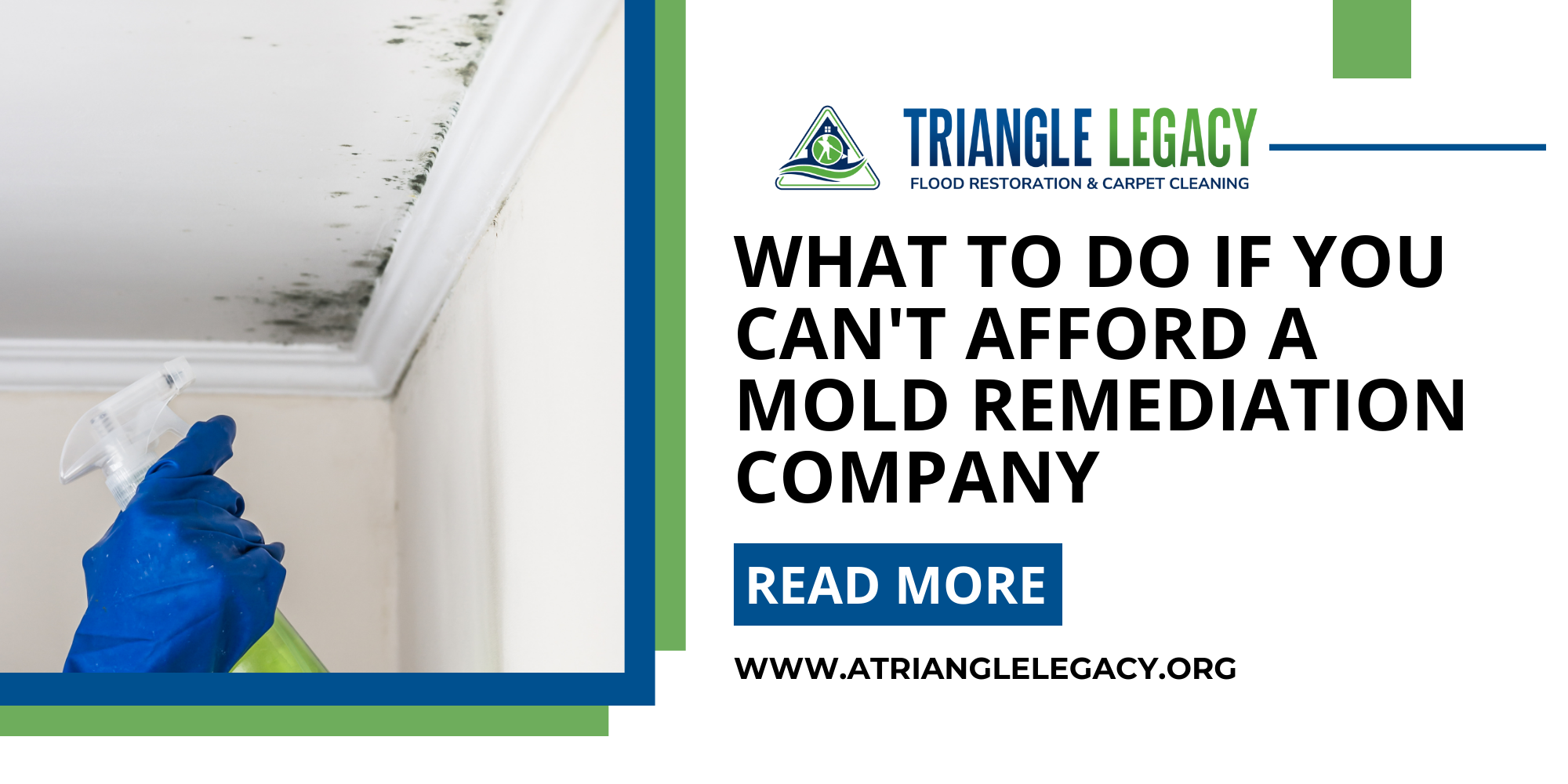 what to do if you can't afford a mold remediation company with image of ceiling mold being sprayed