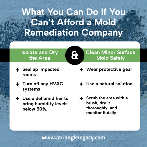 what to do if you can't afford a mold remediation company with diy mold cleanup tips