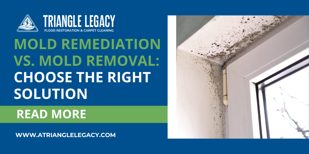 mold remediation mold removal: choosing the right solution for effective mold remediation mold removal