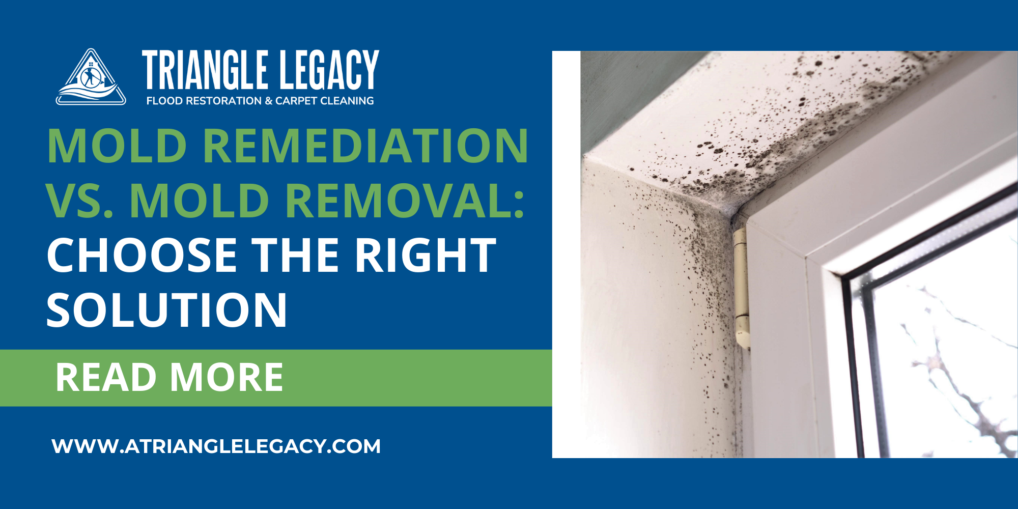 mold remediation mold removal: choosing the right solution for effective mold remediation mold removal