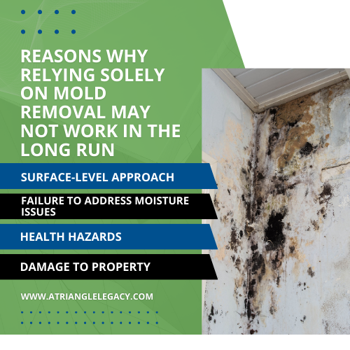 mold remediation vs. mold removal: choosing the right solution for effective mold remediation mold removal